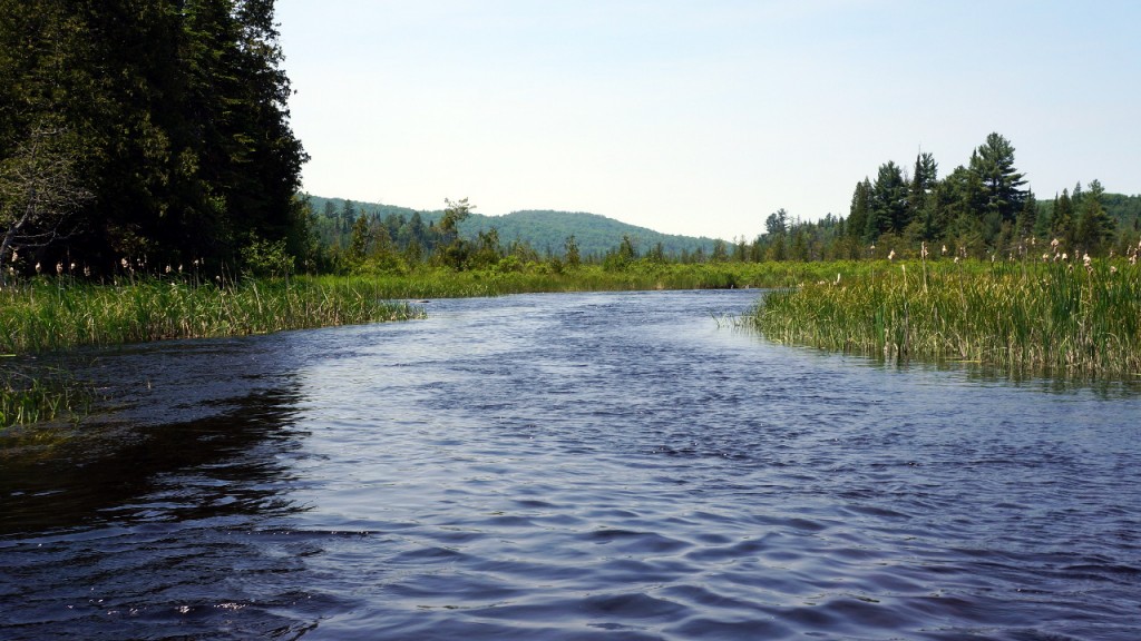 Paddling Crow River on the way to Big Crow