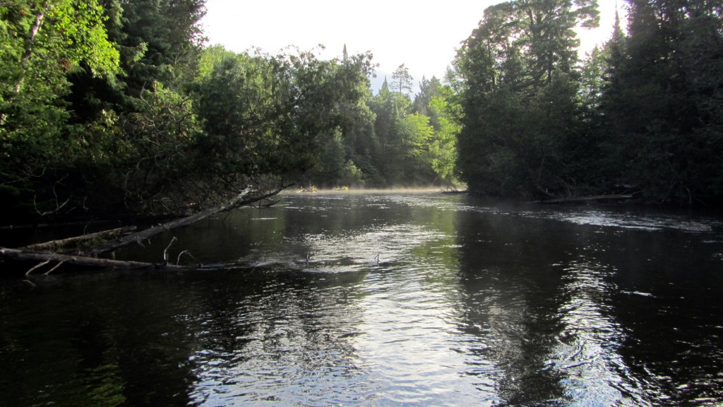 Morning on the Au Sable Holy Waters