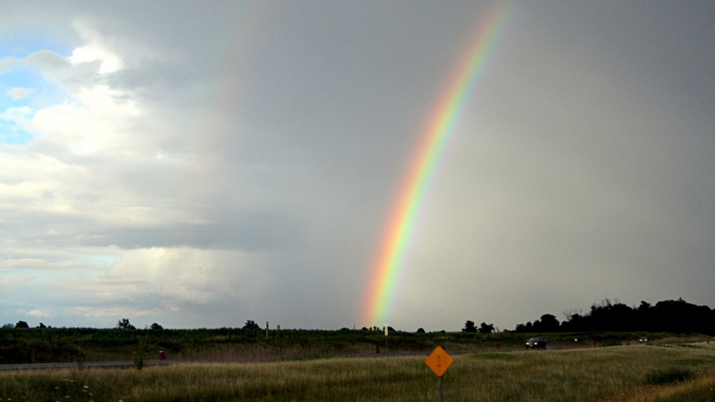 Nice looking rainbow after a break in rain on the way home.