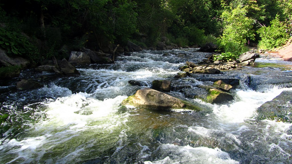 Wading can be difficult in some of the faster sections like this