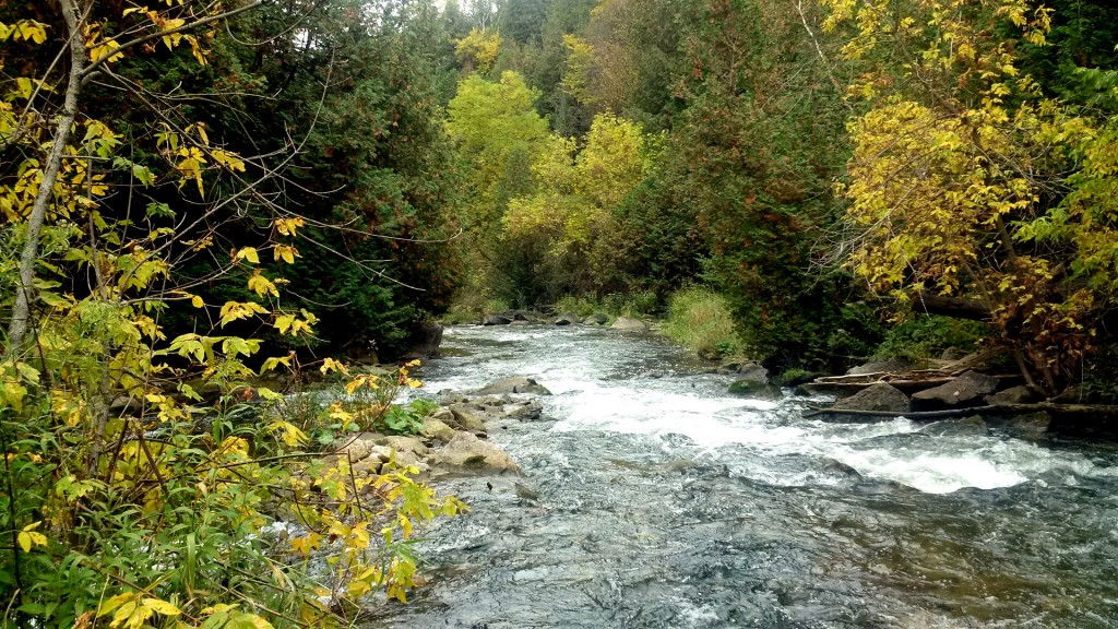 I love fishing small, quiet water like this during the fall