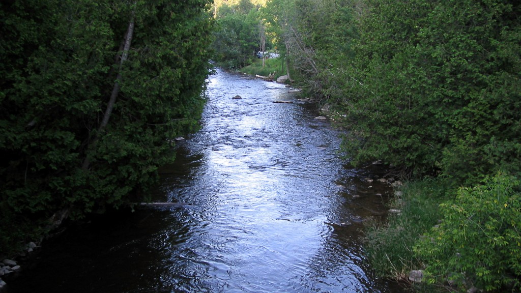 Looking downstream on the main branch of the Forks of the Credit River