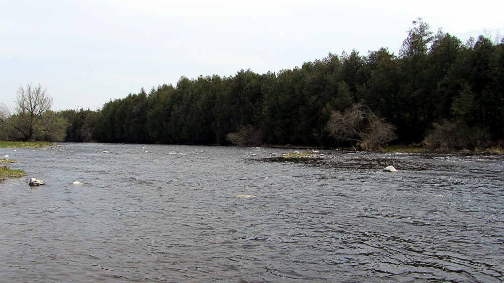 The Grand River was quiet in more ways than one last week