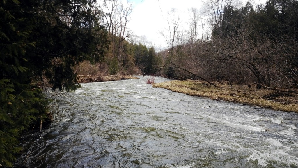 The only other angler I would encounter on opening day was my fishing partner (seen in the distance)