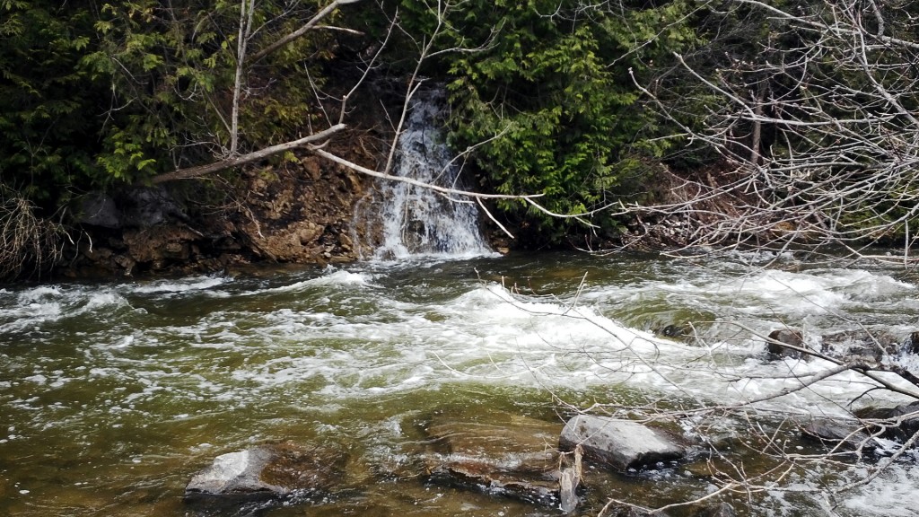 Normally a mere trickle, this tiny feeder stream had a good constant flow