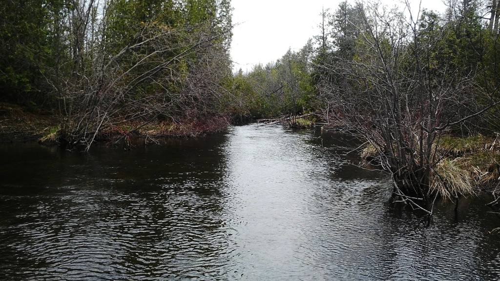 Small stream that I decided to explore after driving past it many times before