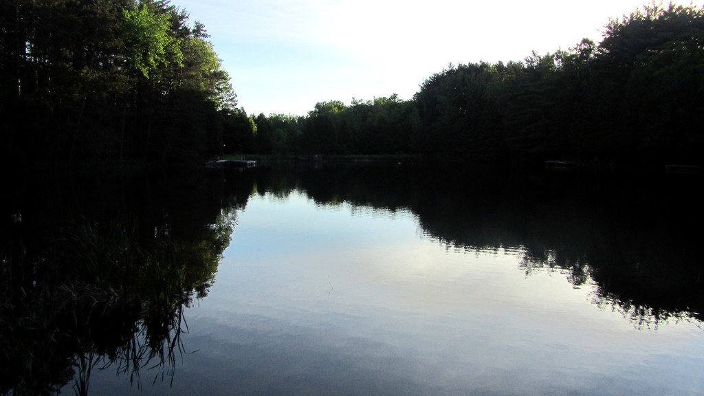 A quiet and peaceful morning on a trout pond.