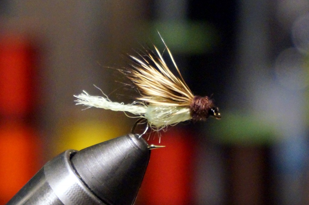 A sparkle caddis pupa emerger, which (in various styles) has done well on the Grand