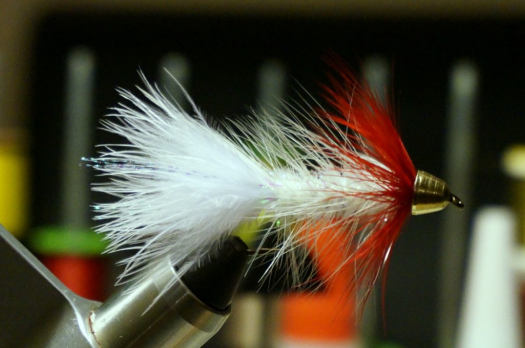 Redneck Bugger (so I call it): A crystal bugger with a red hackle neck
