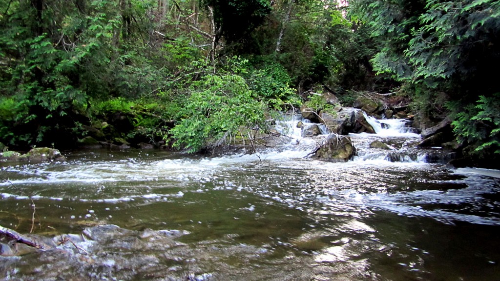 A moderate sized pool at the base of some faster water