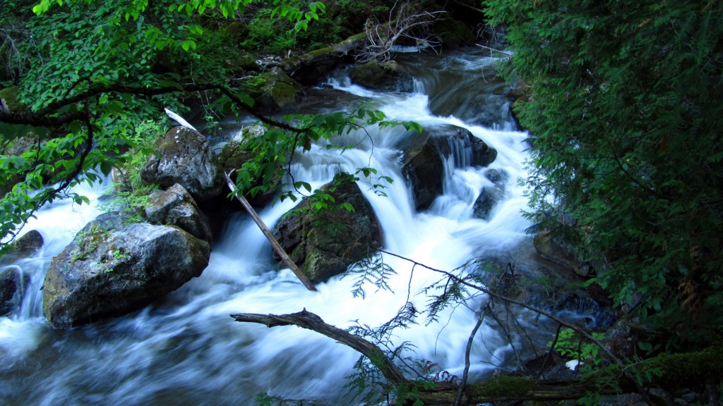 This scenic river section has lots of rapids, creating many small plunge pools