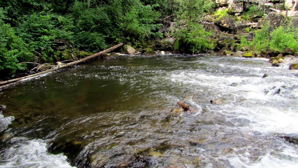 One of the larger holes, which has produced a couple decent fish