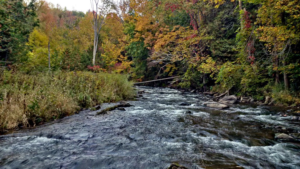 Peace and quiet on a rugged section of the Credit River