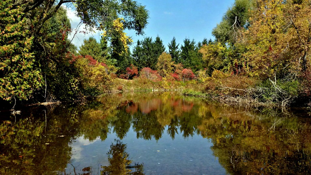 A slow section of a little stream we stopped off at on the way home