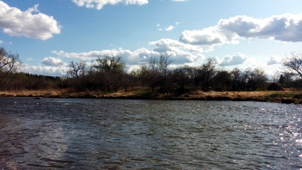 A wide section of the unusually quiet lower Credit River on a sunny afternoon.