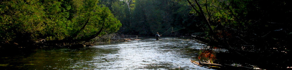 Caffeinated Fly Fisher