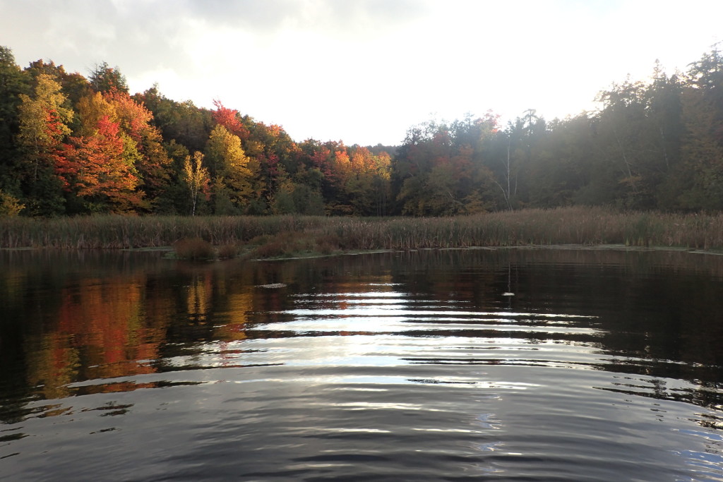 Stillwater fly fishing in the fall is about as peaceful as it gets.