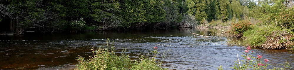 Caffeinated Fly Fisher