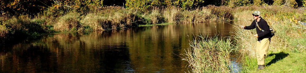 Caffeinated Fly Fisher