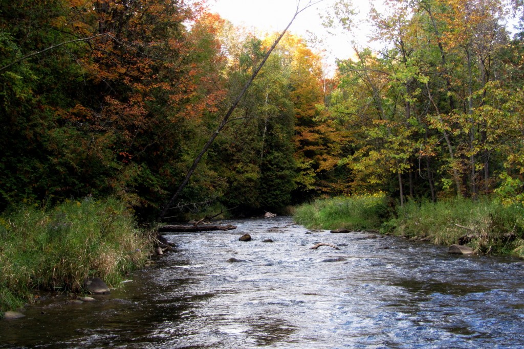 A peaceful stretch of water on the Upper Credit River