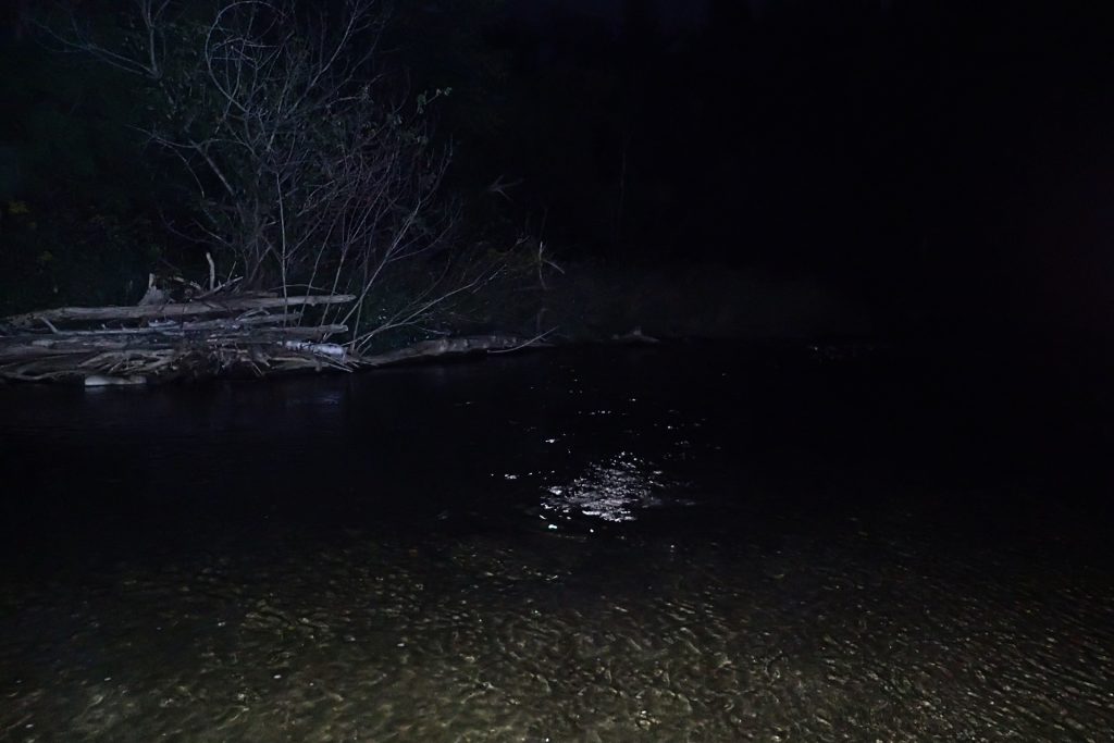 Fishing past dark on a brighter than normal evening, thanks to a near-full harvest moon.