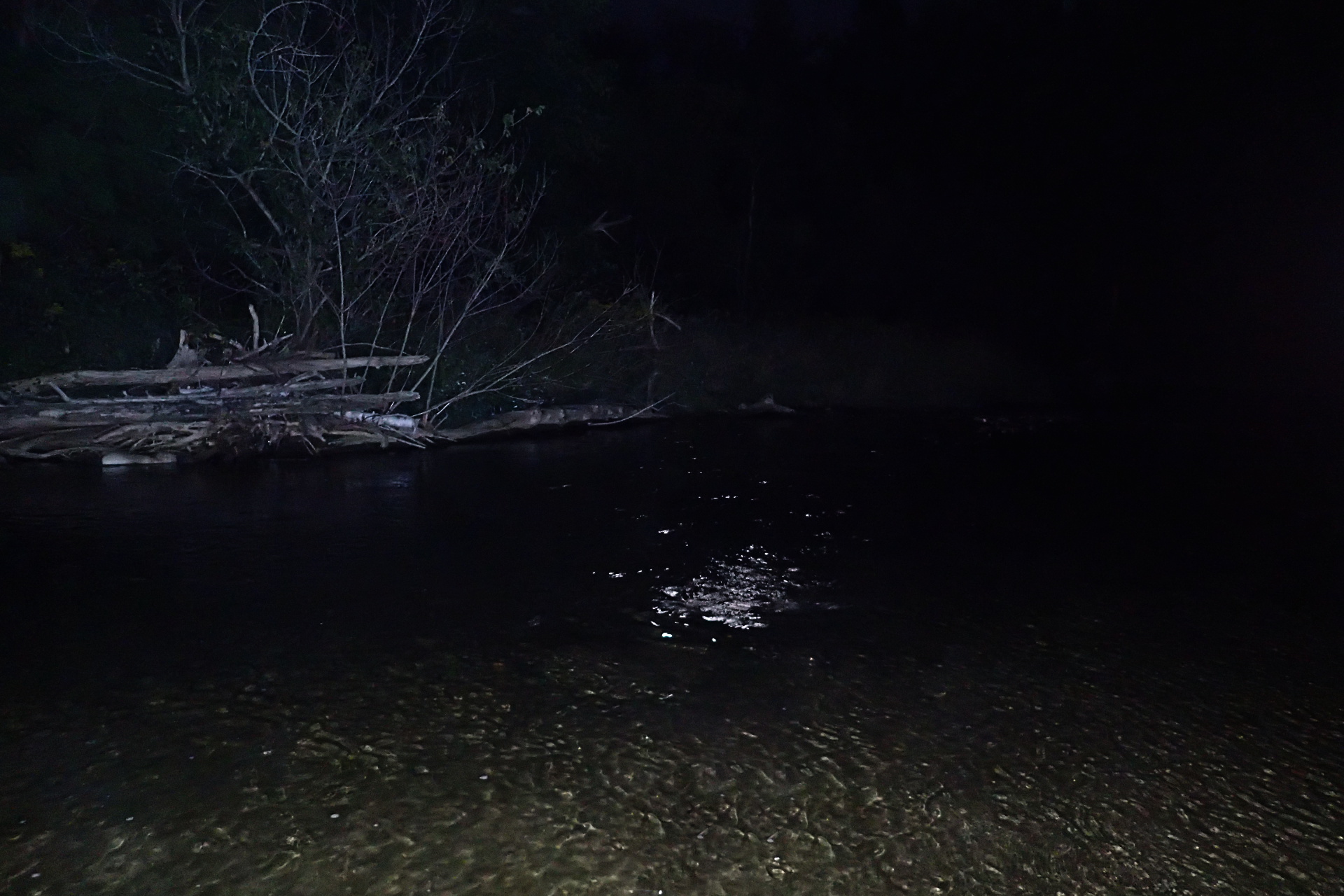 Night Fishing for Brown Trout - Caffeinated Fly FisherCaffeinated