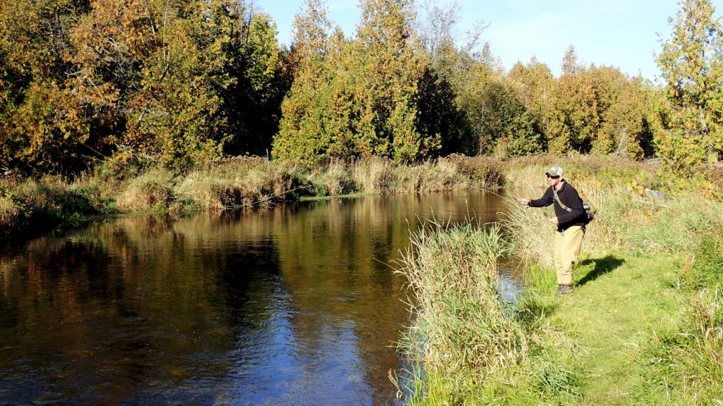 Concern for the West Credit River - Caffeinated Fly