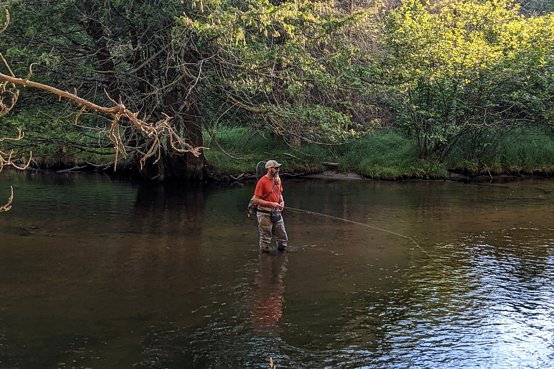 2022 Trout Season Recap - Caffeinated Fly FisherCaffeinated Fly Fisher
