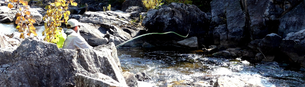 Caffeinated Fly Fisher